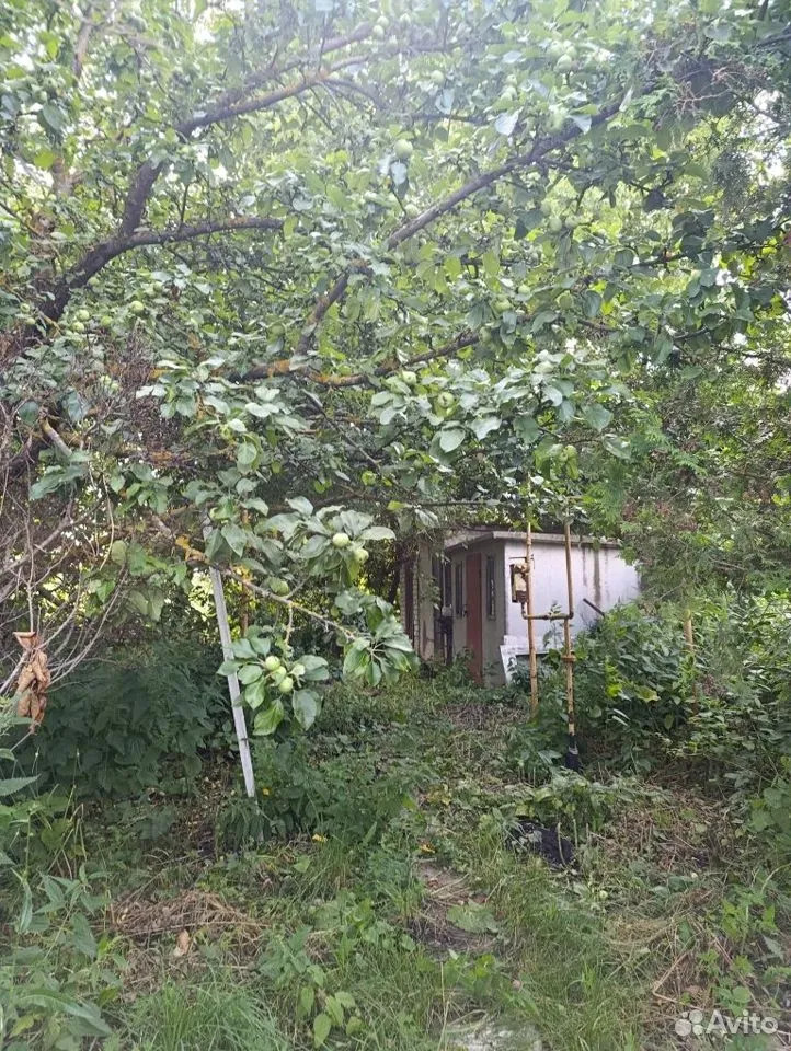 Дом в Мастиновке